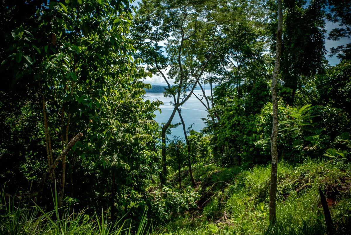 Rincon Mountain Land Gulf View | A Breathtaking Landscapes of Rincon - Gallery image 21