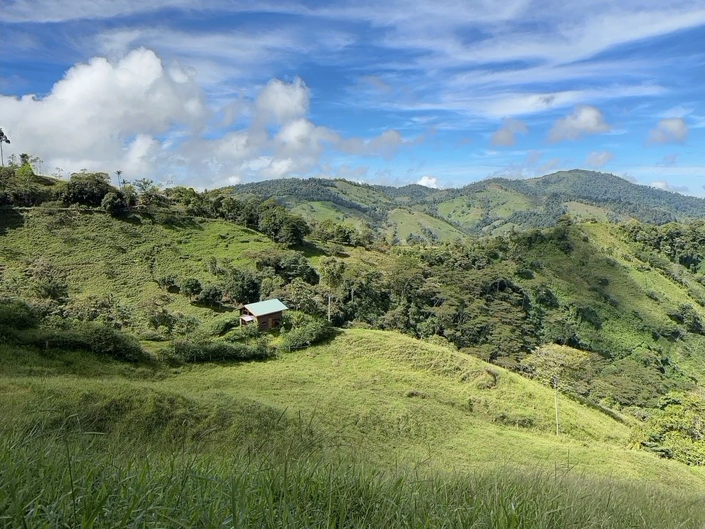 BEAUTIFUL MOUNTAIN VIEW FINCA WITH CABIN IN RIO NUEVO - Gallery image 3