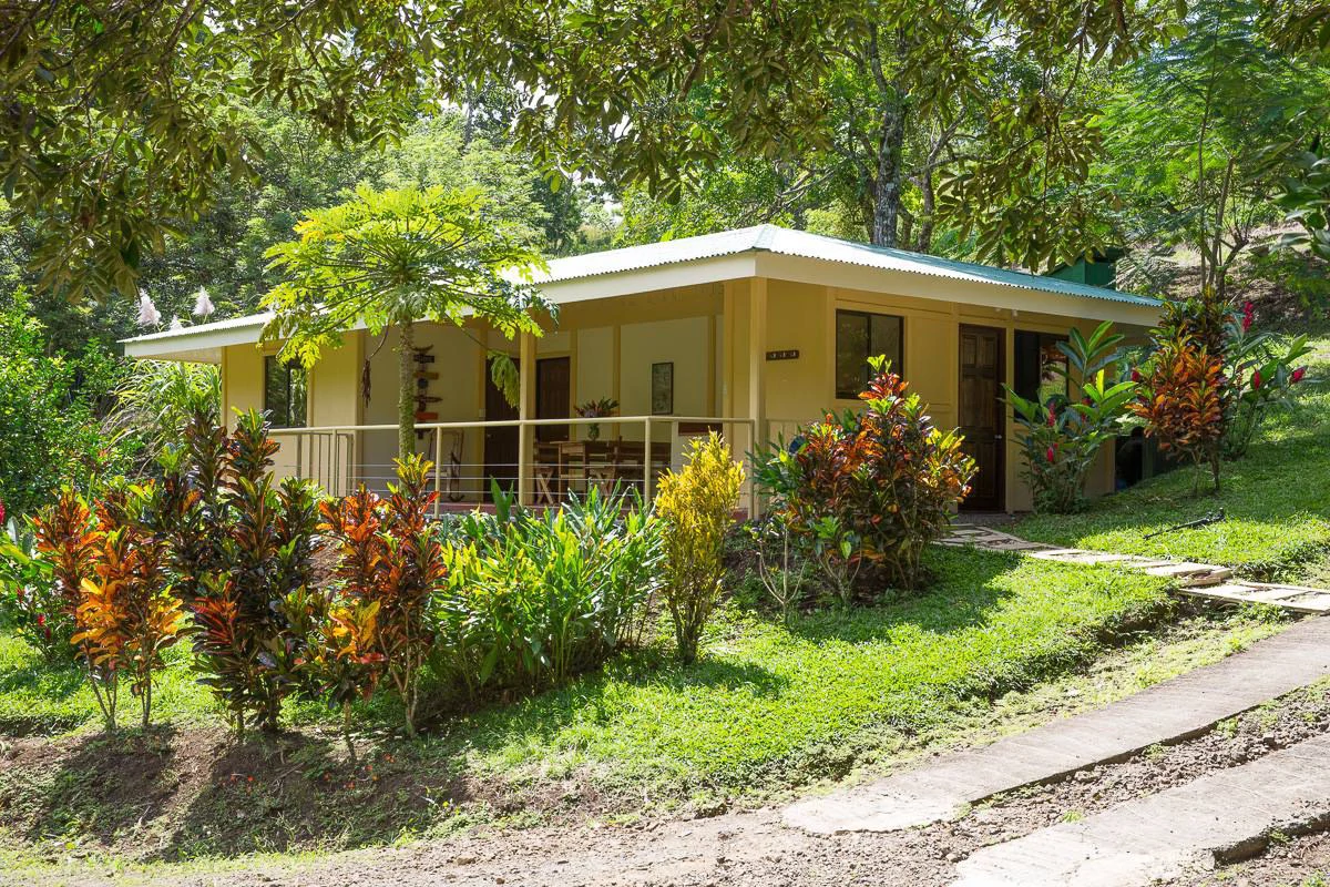 RIO SABALO: Yoga- Wellness-  and Eco Retreat Center - Gallery image 12