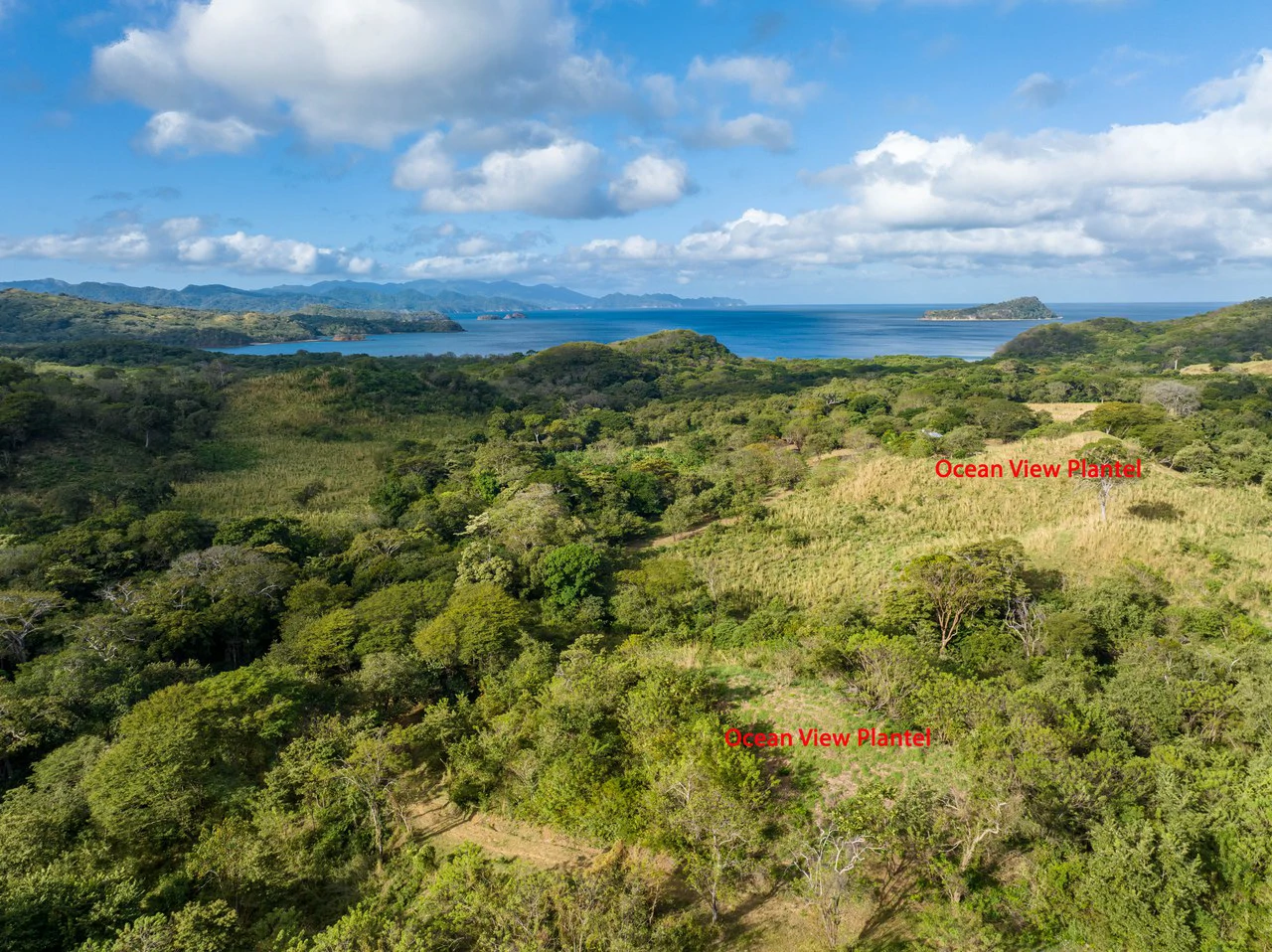 220 Acres Beachside Farm with Ocean View at Playa Junquillal in Guanacaste - Gallery image 21