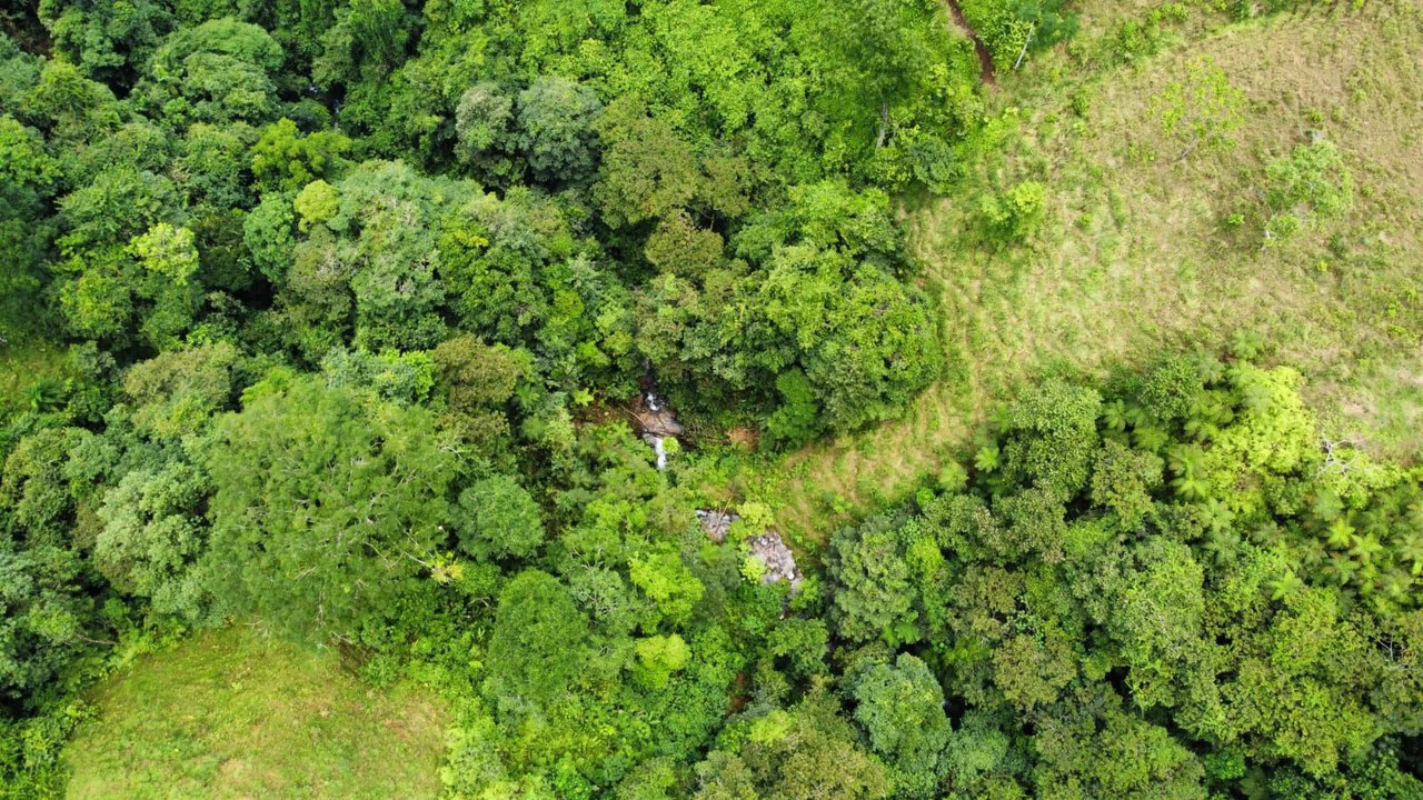 Se vende 39ha en Barú, Perez Zeledón: Mountain Home Construction Site For Sale in Barú - Gallery image 22