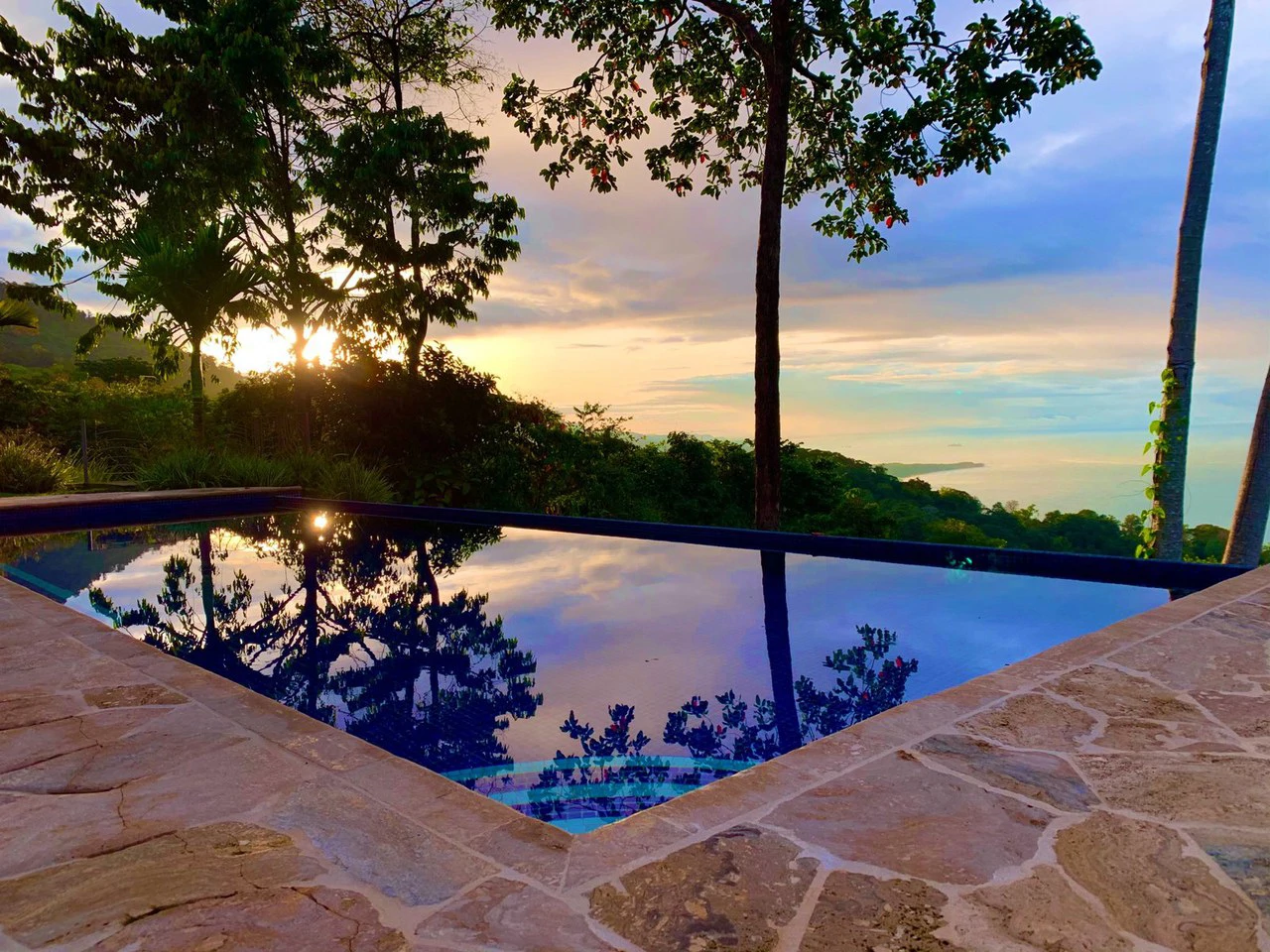2 ACRES – 2 Bedroom Whales Tale Ocean View Home In Costa Verde Estates Gated Community!!!: 79 ACRES – Amazing Farm On Ridge Top With Whale’s Tail Ocean View And 800 Exotic Tropical Fruit Trees!!!!! - Gallery image 4