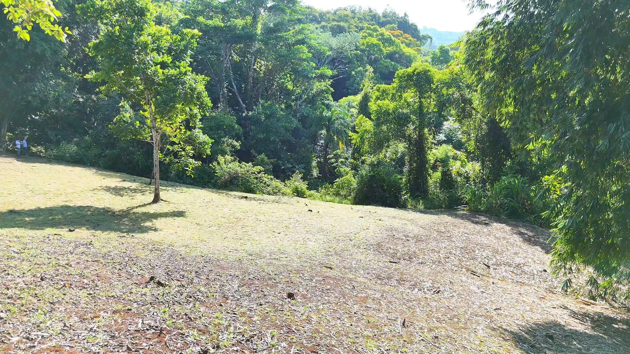 FINCA EN BARÚ GUSTAVO-149760: Mountain Agricultural Land For Sale in Barú - Gallery image 16