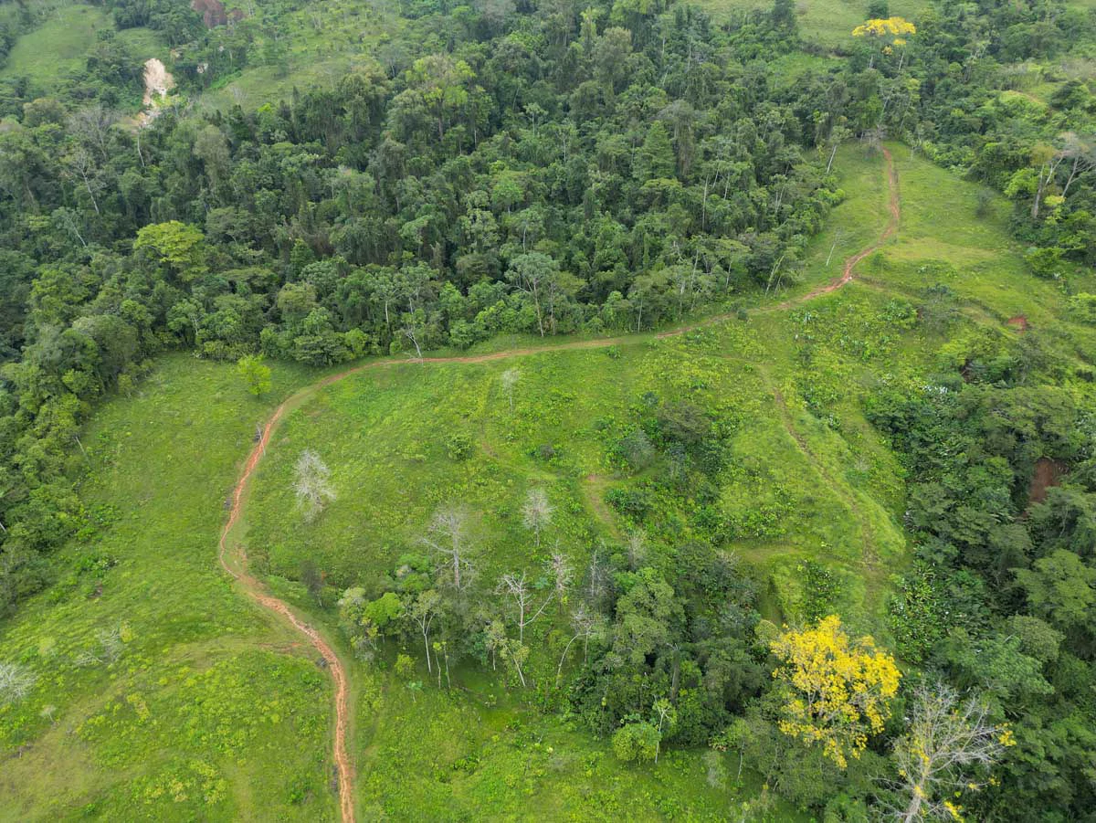 Fire Sale Farm with Ocean View | Piedras Blancas, Osa Peninsula - Gallery image 6