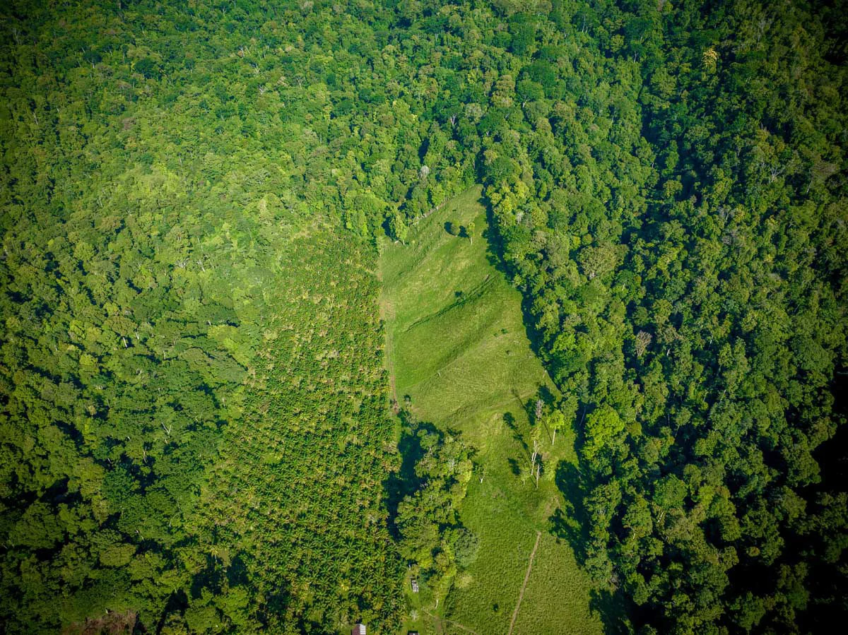 Rincon Massive Acreage and Gulf of Dulce Views