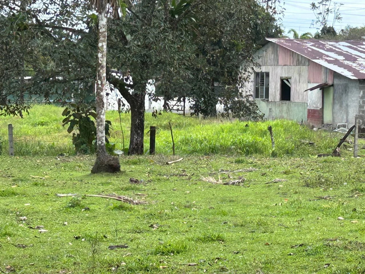 Land for Sale 4803 m2: Over 1 acre beautiful flat land Ready to build with electricity, small creek from spring. - Gallery image 4