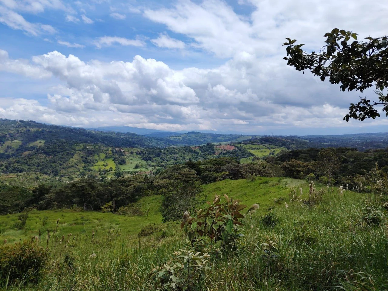SE VENDE PROPIEDAD EN CAJÓN, COSTA RICA.: Mountain Home Construction Site For Sale in Cajón - Gallery image 4
