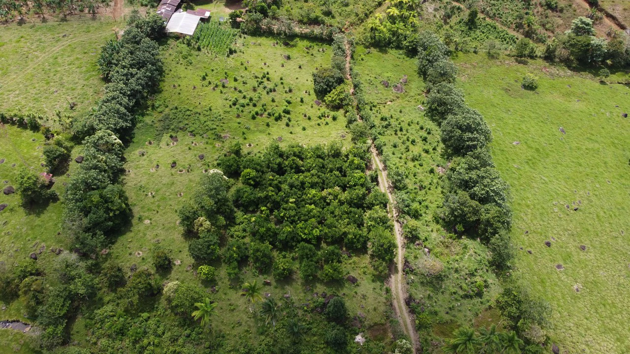 Se vende lote agrícola, en Cajón, Perez Zeledon.: Mountain Home Construction Site For Sale in Cajón - Gallery image 23