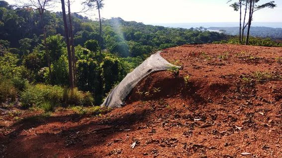 Near the Coast Home Construction Site For Sale in Bahía Ballena - Gallery image 2