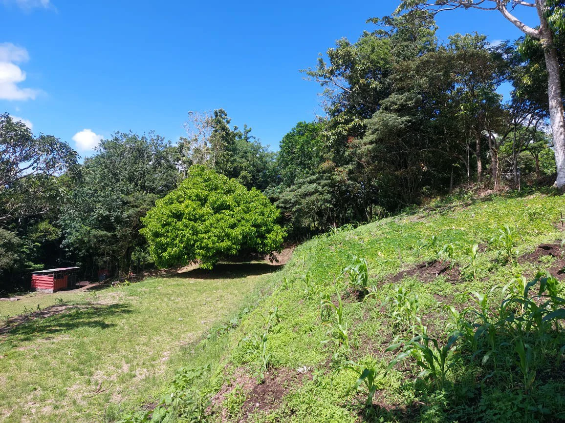 FINCA LA TEJONA - Gallery image 13