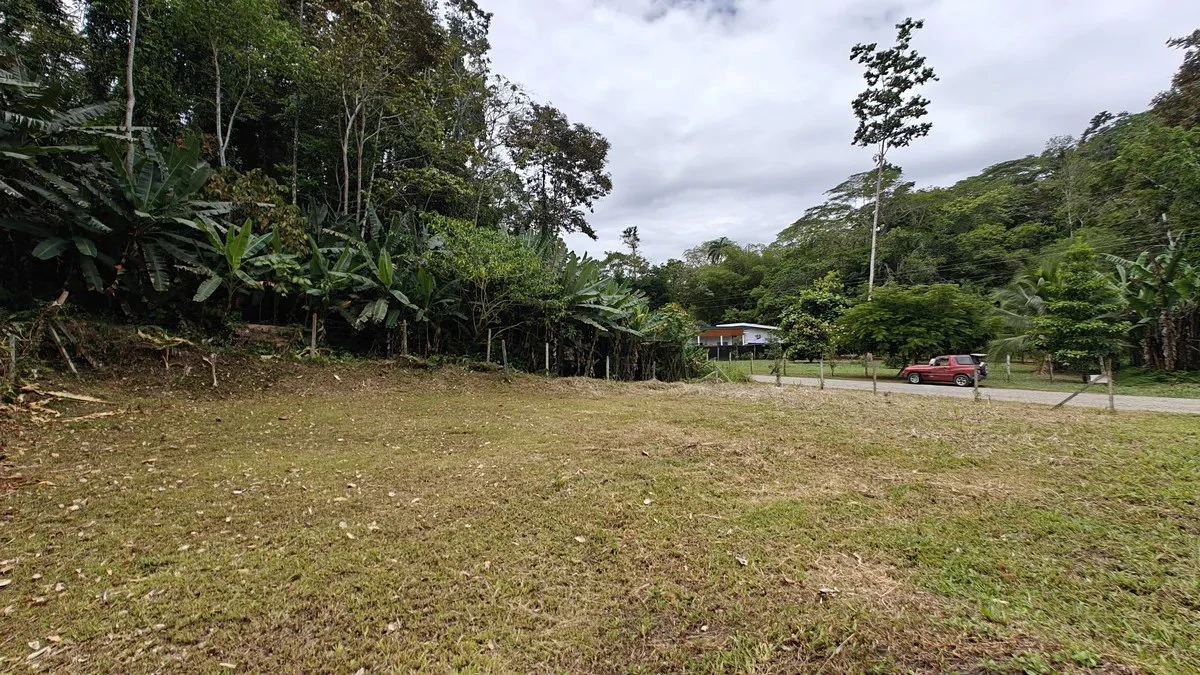 500sqm Lot in Cahuita with Well - Fenced, Filled, Leveled and Ready to Build - Gallery image 3