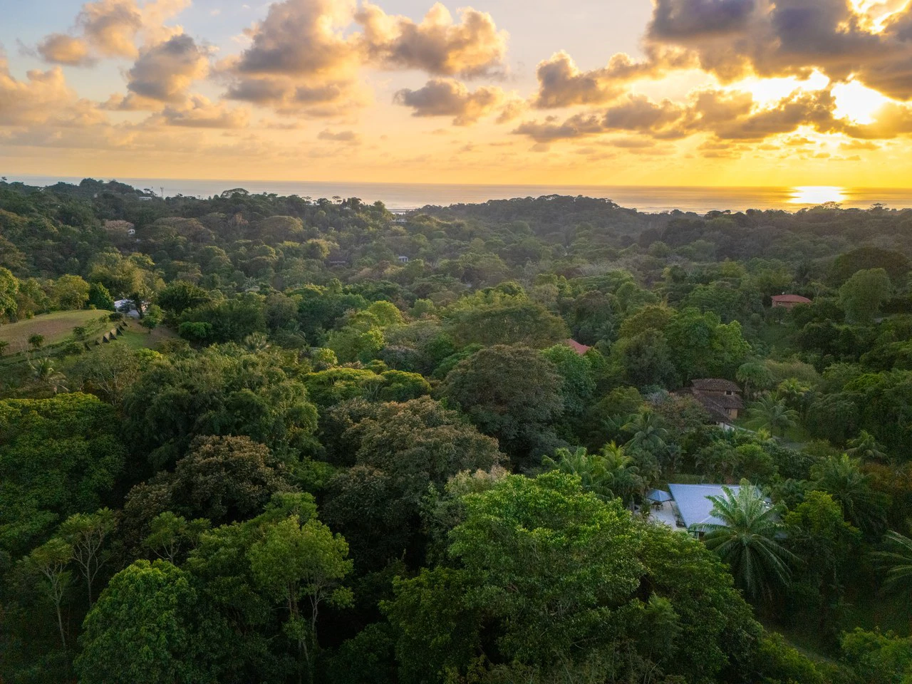 Sirena House: Development Opportunity - Gallery image 45