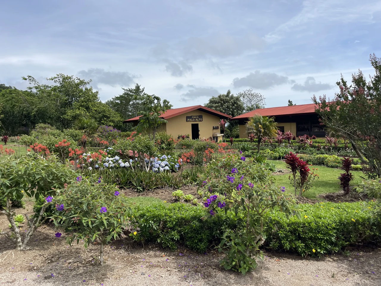 Cartago, gourmet coffee plantation: Charming Coffee Retreat Home with Stunning Views and Gourmet Coffee Plantations - Gallery image 23