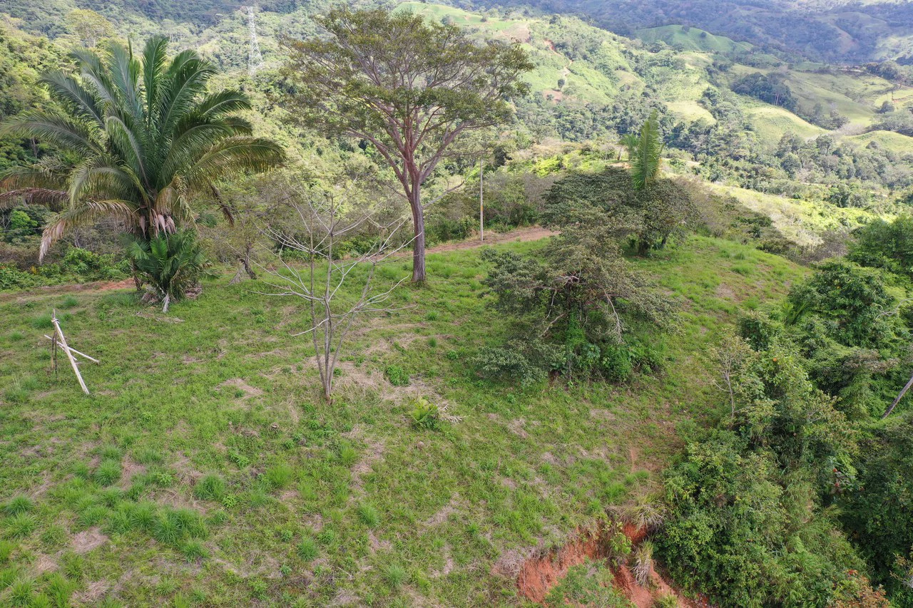 Sunset Ocean View Land with Cano Island Views: Home Construction Site For Sale in Ojochal - Gallery image 10
