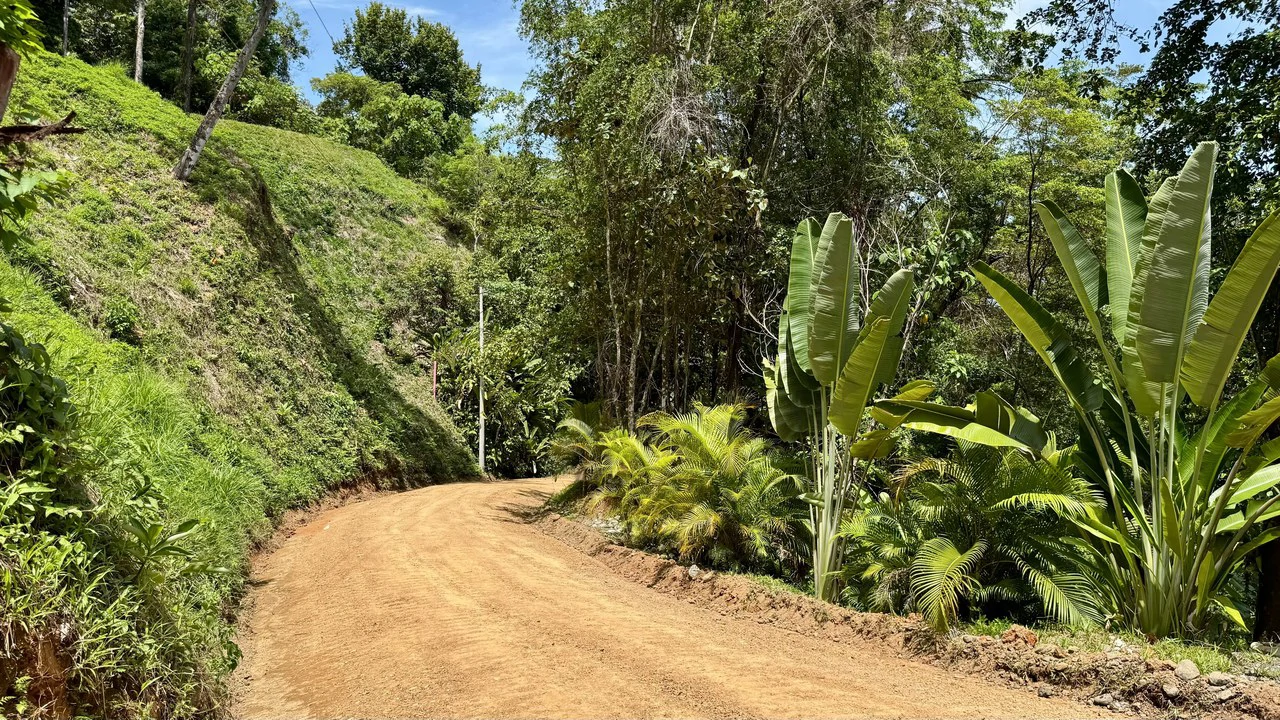 Exclusive and Unique Ocean Views lot in the Hills of Uvita! - Gallery image 5