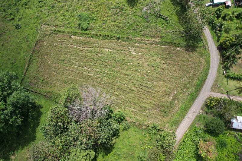 Land For Sale with Excellent Location in La Amapola, Puerto Jimenez - Gallery image 2