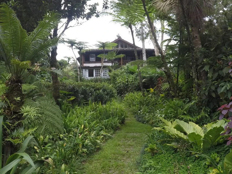 TROPICAL FOREST DREAM 15 min from downtown SJ - Gallery image 9
