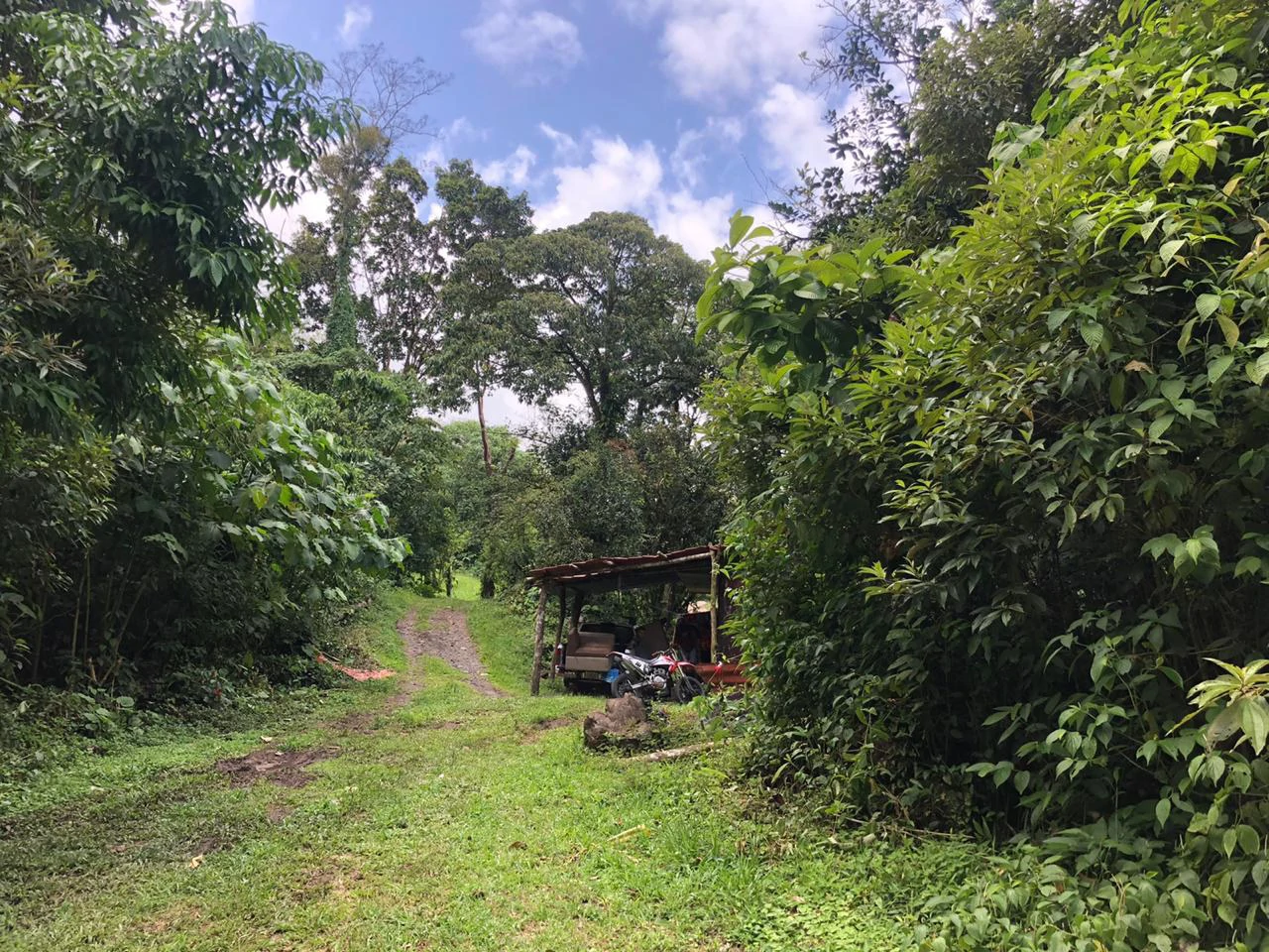 Hot Springs Property in Dos Ríos de Upala – Excellent Investment Opportunity - Gallery image 39