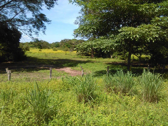 Discovery Park. Property in great location - Gallery image 2