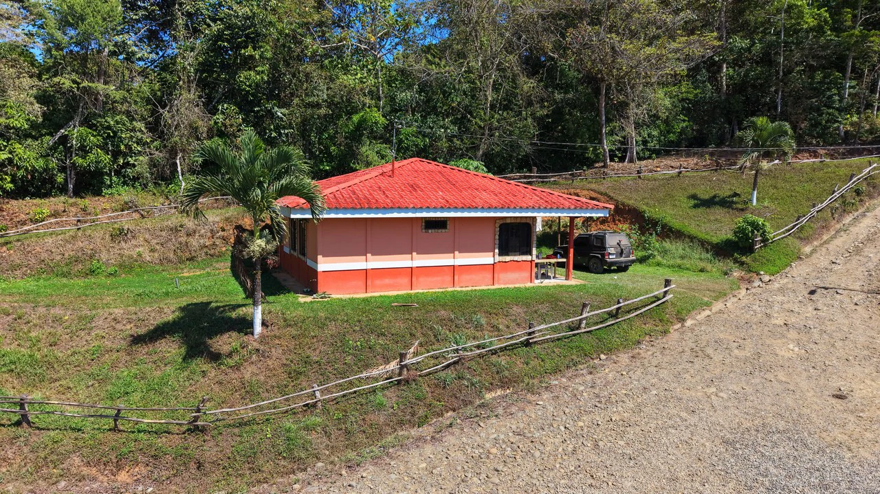 Agricultural Land For Sale in Daniel Flores - Gallery image 20