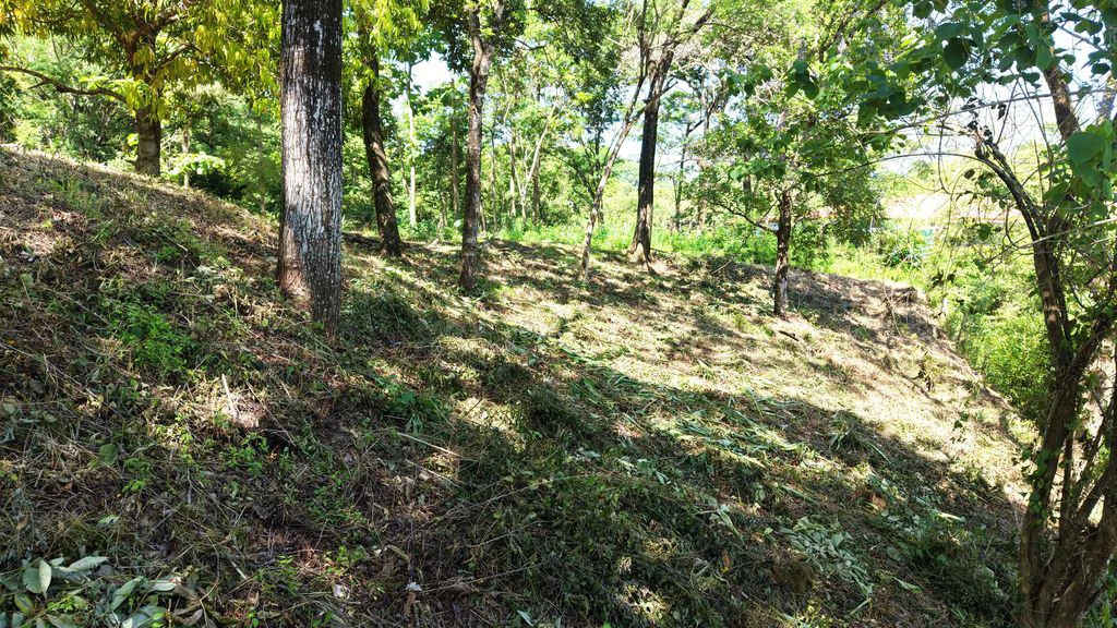 Lote Budry: Exclusive Elevated Lot with Stunning Mountain & Jungle Views Near Samara Beach - Gallery image 7