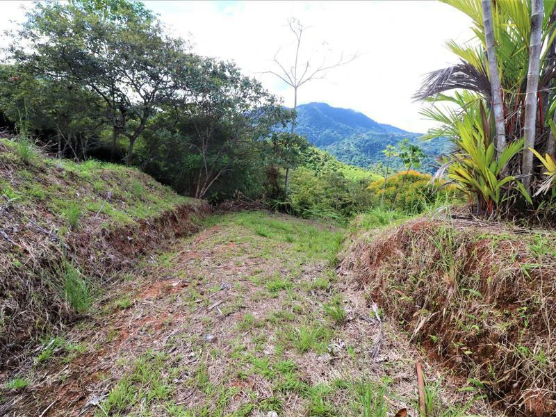 Captivating 3.15-Acre Property: Huge Pricedrop! Firesale Oceanview Lot in Tres Rios - Gallery image 26