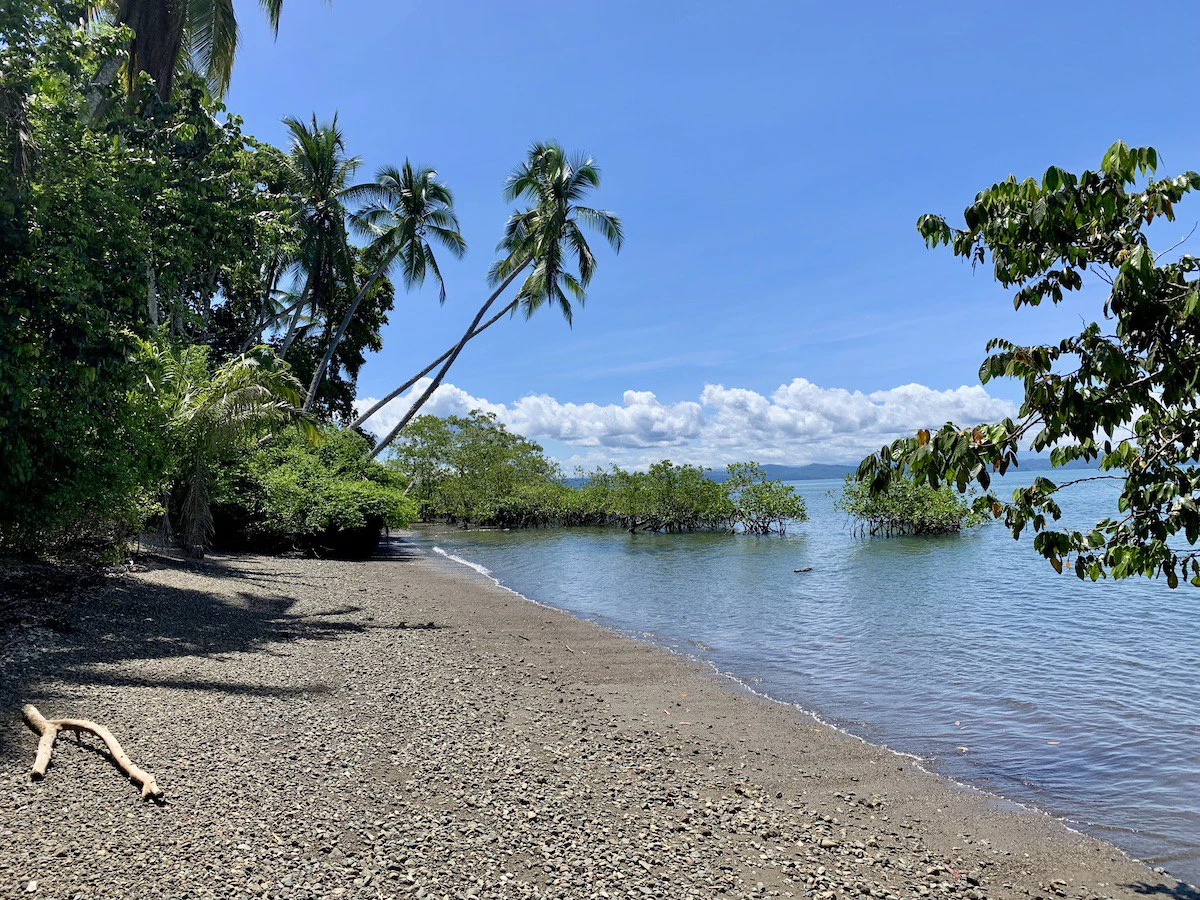 Titled Property Near The Golfo Dulce Coast - Gallery image 13