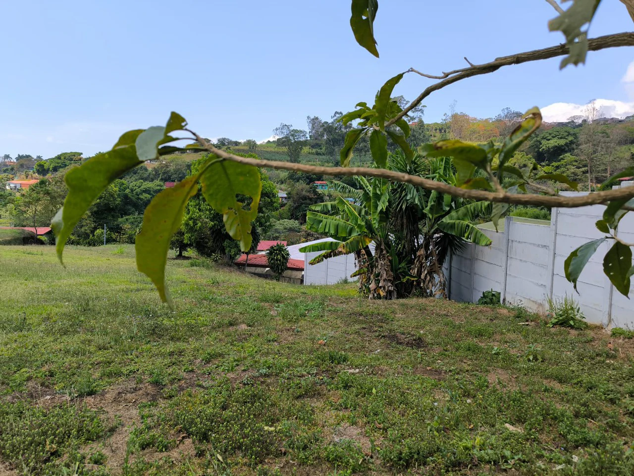Lot for sale in San Miguel Grecia - Gallery image 3