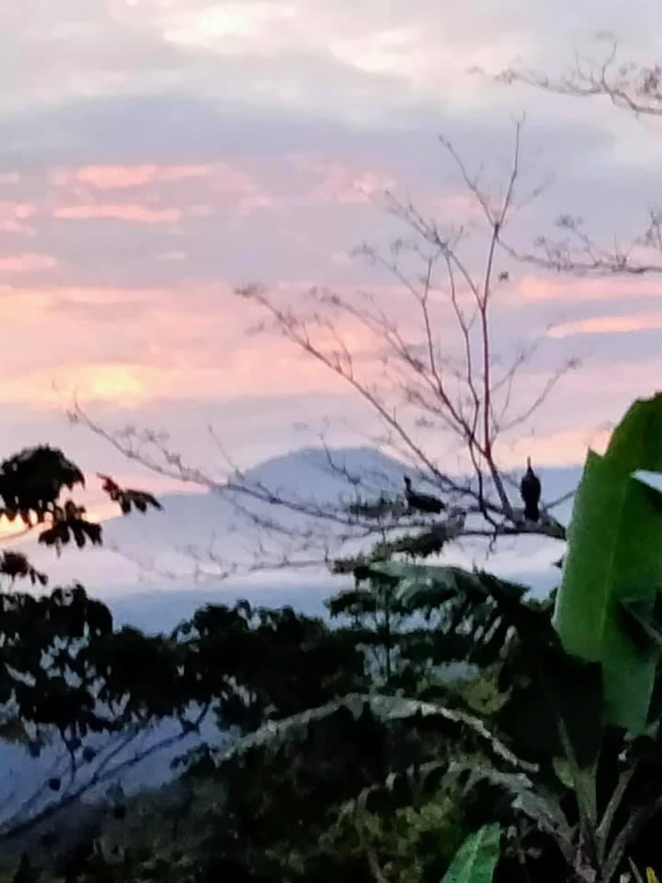 Costa Rica Ecolodge Retreat: Spectacular Views Turnkey Ecolodge Mountain Retreat in the heart of Costa Rica - Gallery image 26