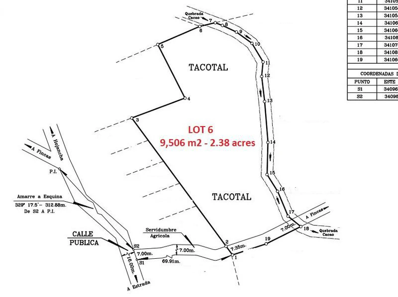 Lotes Bosque Alta: 2 Large Flat Healthy Jungle Lots Totaling 17289 square meters in Estrada, located just 10 minutes after the Town and Beach of Carrillo. - Gallery image 4