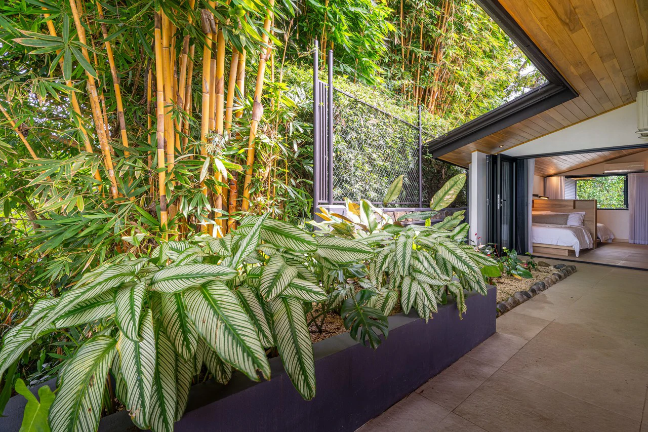 Casa Amarilla – Oceanfront Luxury Meets Sustainable Living in Tres Rios: Mountain House For Sale in Tres Rios - Gallery image 65