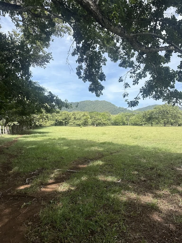 Finca La Fabiola: 4-Hectare Property in Santa Cruz, Guanacaste