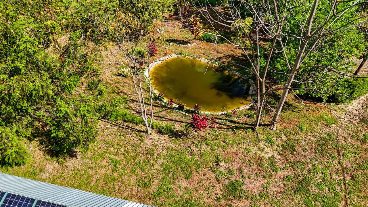 32 Acre Self Sustainable Farm with House Close Ojochal - Gallery image 4