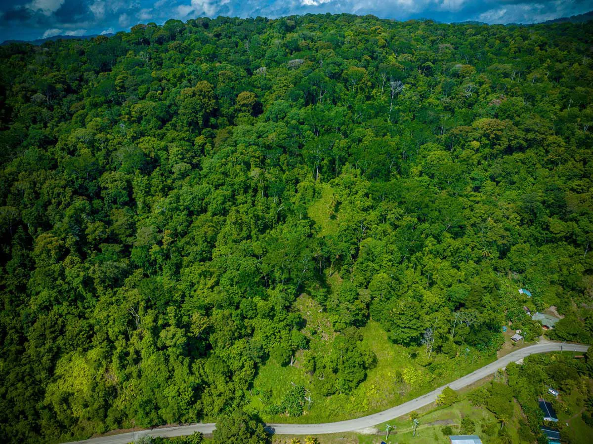 Rincon Mountain Land Gulf View | A Breathtaking Landscapes of Rincon - Gallery image 10