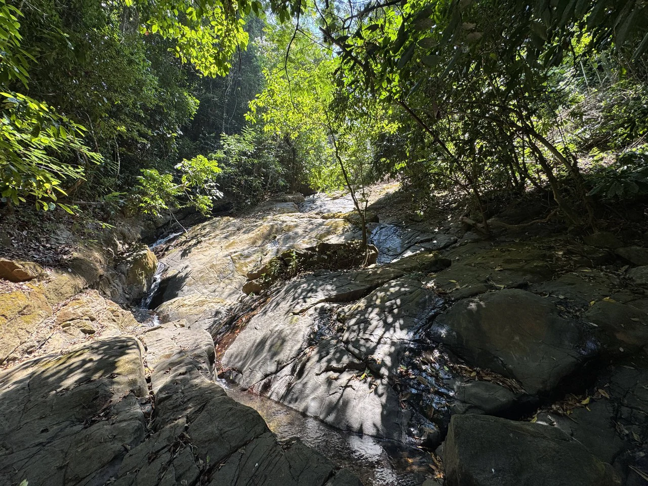50 Acre Waterfall and River Paradise Above Dominical - Gallery image 63