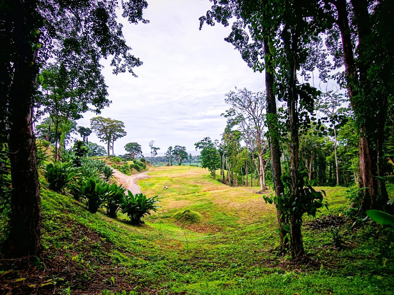 ID 4193: Ocean View Residential Lot for Sale near Puerto Viejo, Caribbean Costa Rica - Gallery image 25