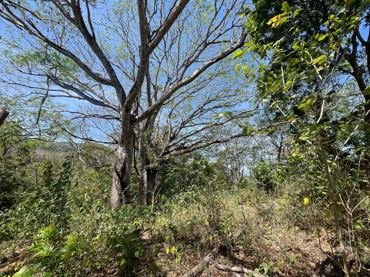 Ocean view property for sale Rodeo Ciudad Colon San Jose Costa Rica - Gallery image 21