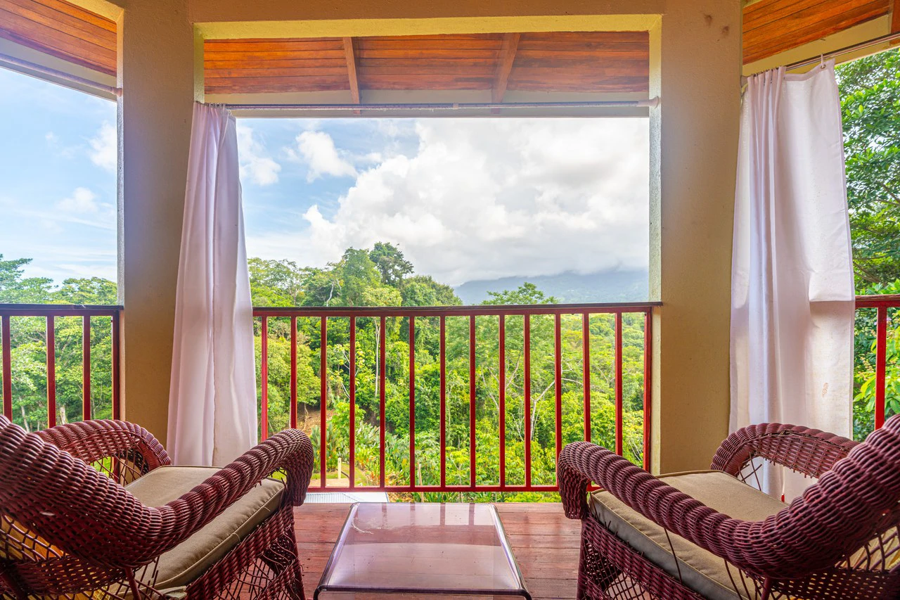 Amazing Mountain View and Ocean View House and Guest House on 4.5 Acres of land in Ojochal - Gallery image 21