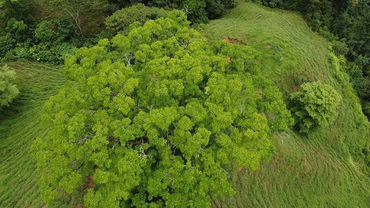 Se vende 39ha en Barú, Perez Zeledón: Mountain Home Construction Site For Sale in Barú - Gallery image 2