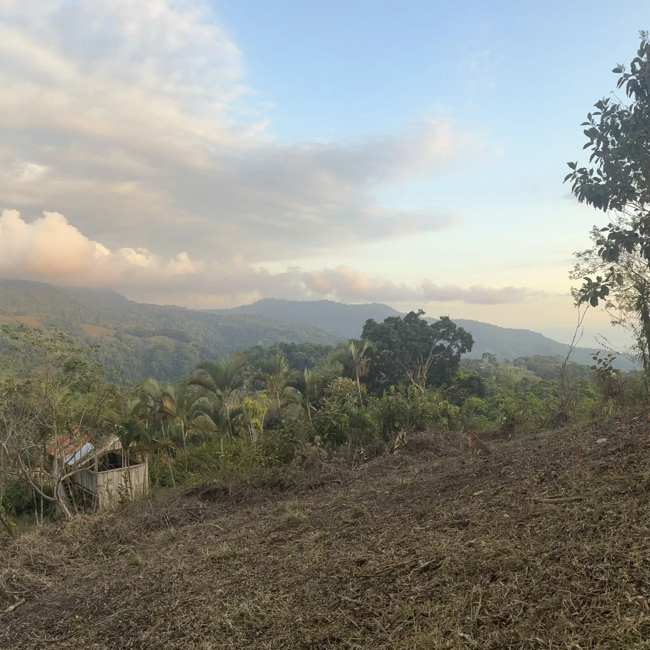 Ocean & Mountain View Lot with Multiple Building Sites-20 Minutes from Uvita - Gallery image 5