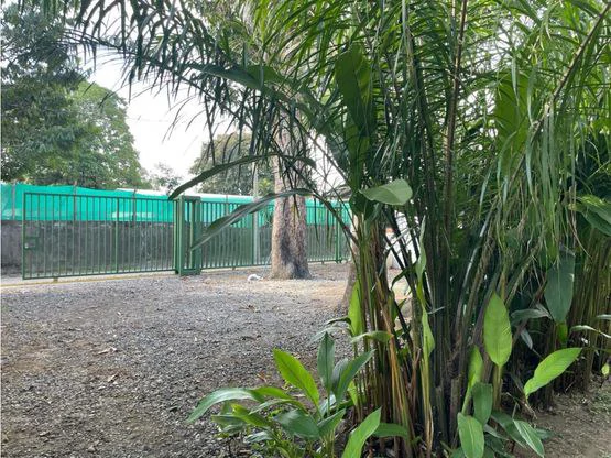 Tropical Garden Hotel Downtown Jaco - Gallery image 18