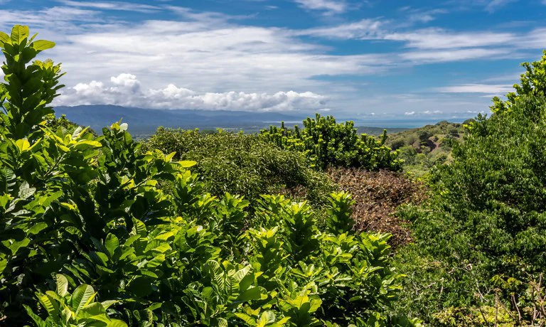 VILLA #1: Live or invest in a property that has it all: the perfect harmony between luxury and nature - Gallery image 7