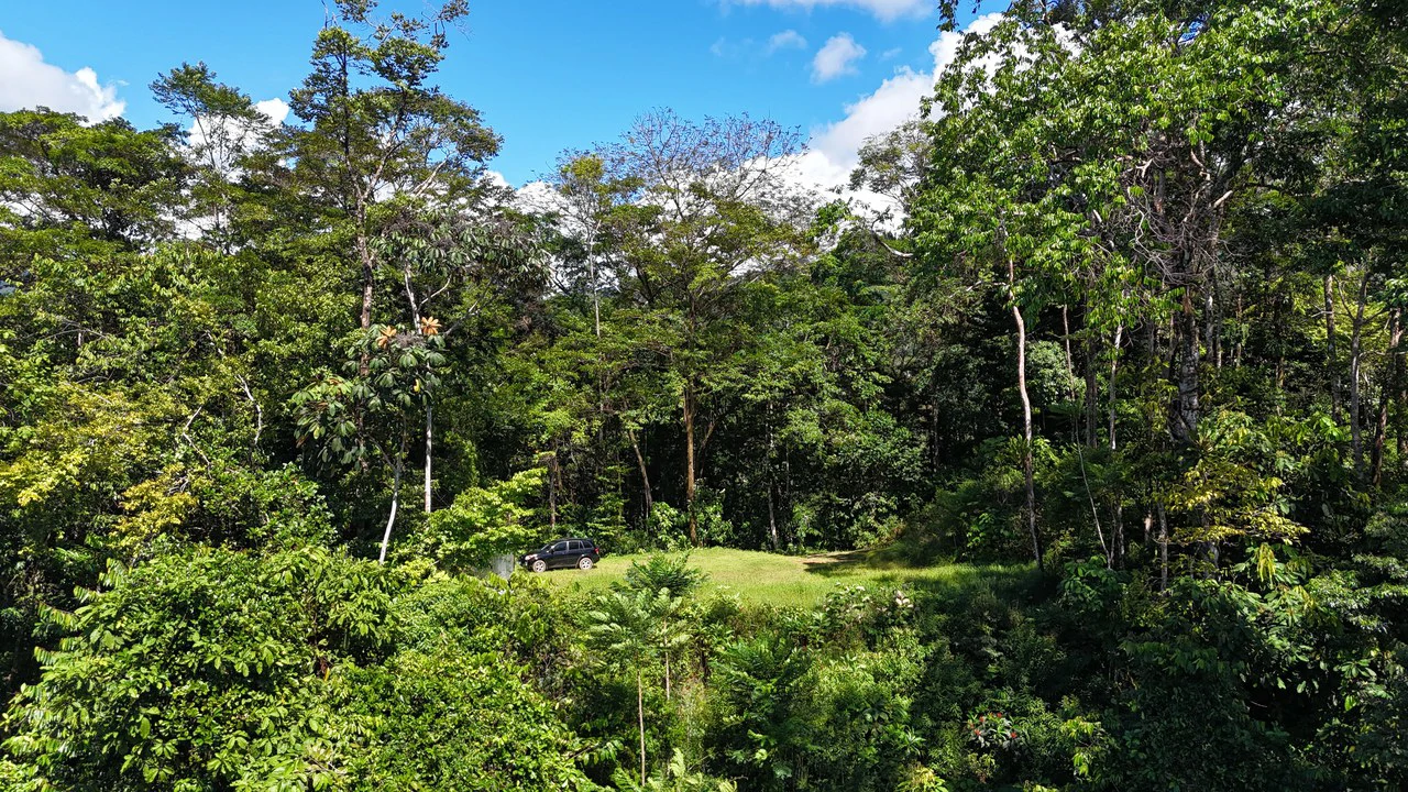 1.7 Acres Ocean View Lot with Producing Cabin in Uvita - Gallery image 6