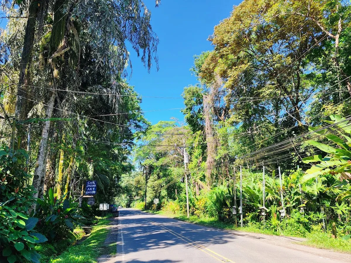 ID 958: Playa Chiquita Commercial Lot,  Prime Site near Beach - Gallery image 17
