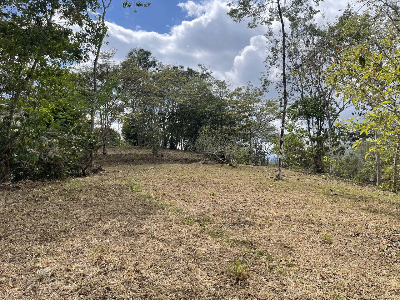 Elevated Two and a Half Acres with Cool Breeze in San Isidro del General - Gallery image 22