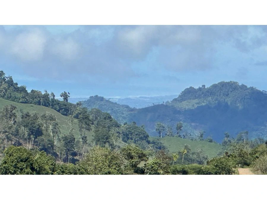 BEAUTIFUL MOUNTAIN VIEW FINCA WITH CABIN IN RIO NUEVO - Gallery image 19