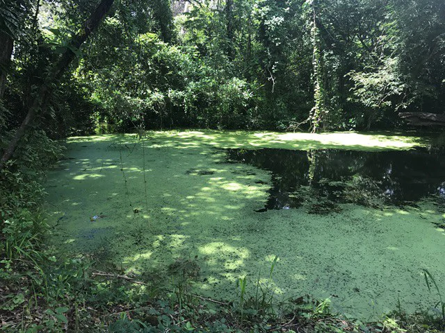 Large Development Land for Sale in Liberia, Guanacaste, Costa Rica - Gallery image 17