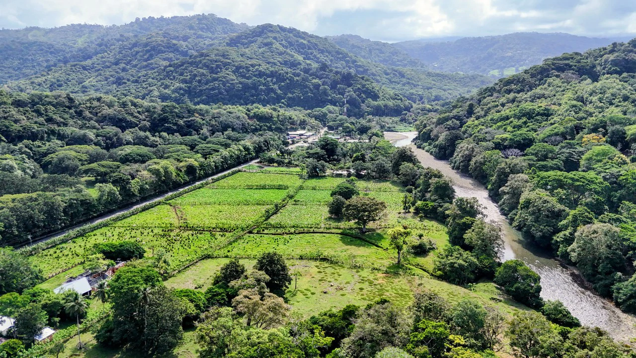 Finca en Barú: Near the Coast and Riverfront Agricultural Land For Sale in Barú - Gallery image 4