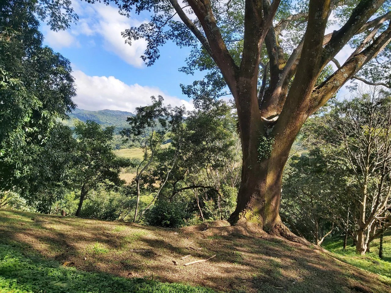 Mountain and Countryside Home Construction Site For Sale in Desmonte - Gallery image 19