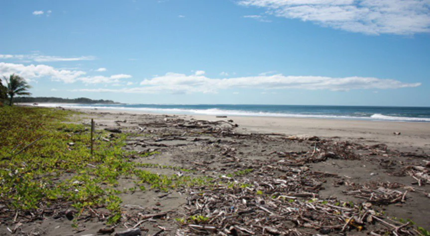 Commercial Property in Junquillal Beach - Santa Cruz - Gallery image 6